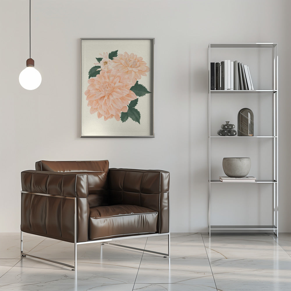 Poster - Pink Dahlia on Cream