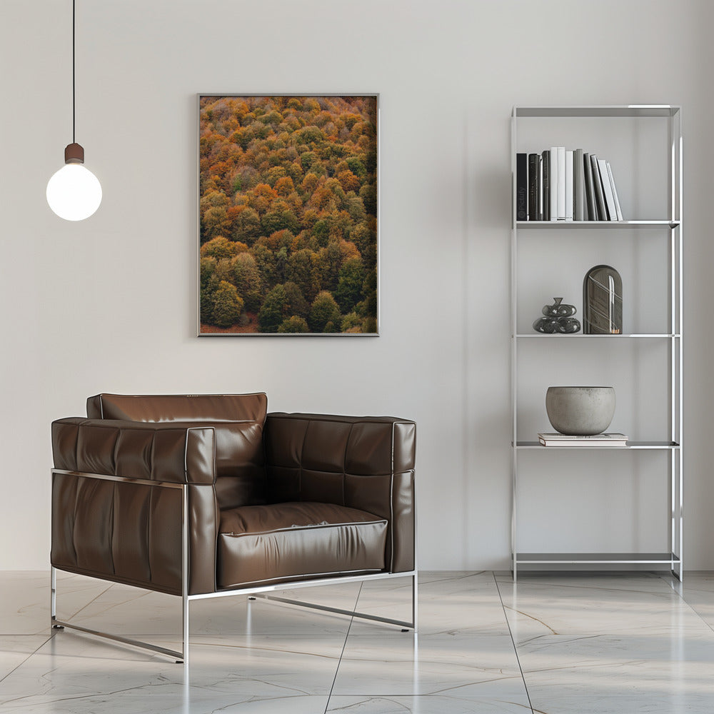 Plakat - Autumn Forest 04