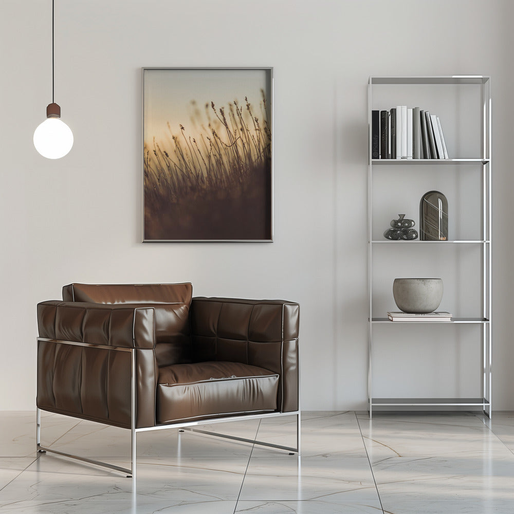 Plakat - Morning Grass Filelds 08