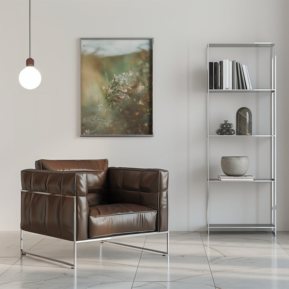 Plakat - Morning Grass Filelds 14 - Admen.dk