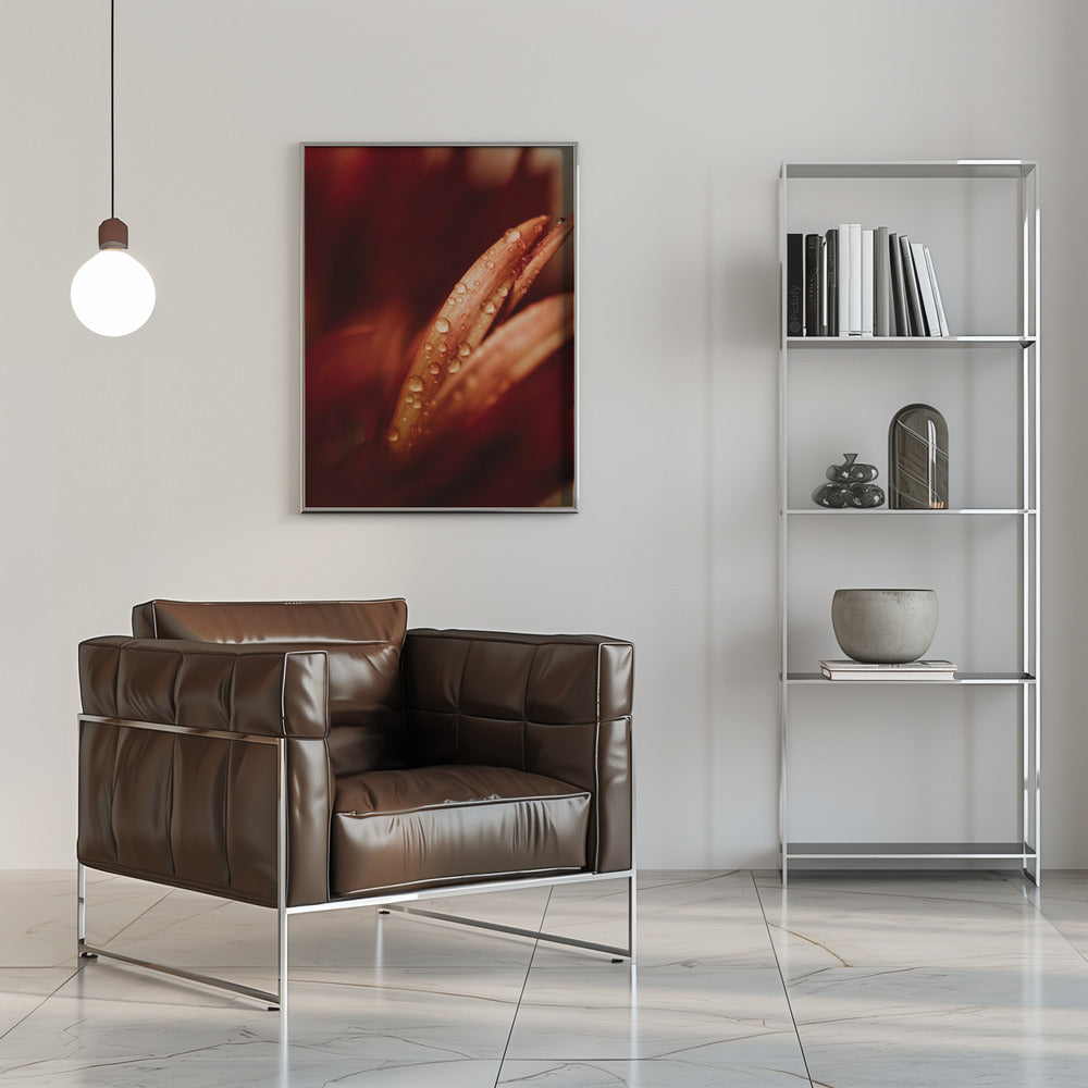 Plakat - Red Flowers 16