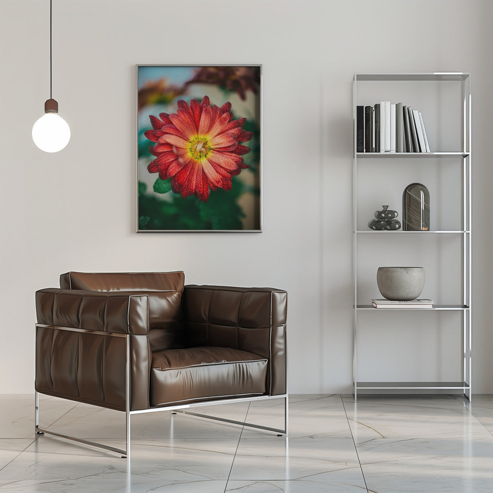 Plakat - Red Flowers 32