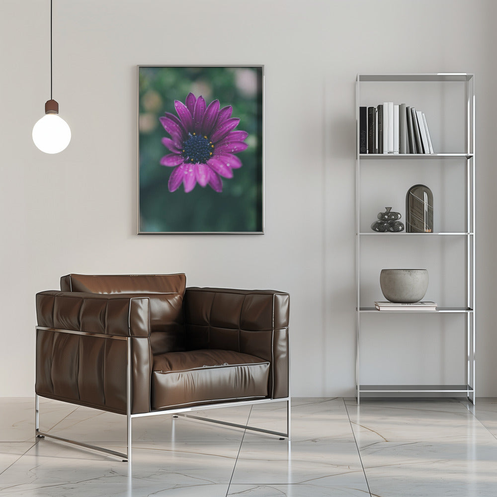Plakat - Purple Flowers 07 - Admen.dk