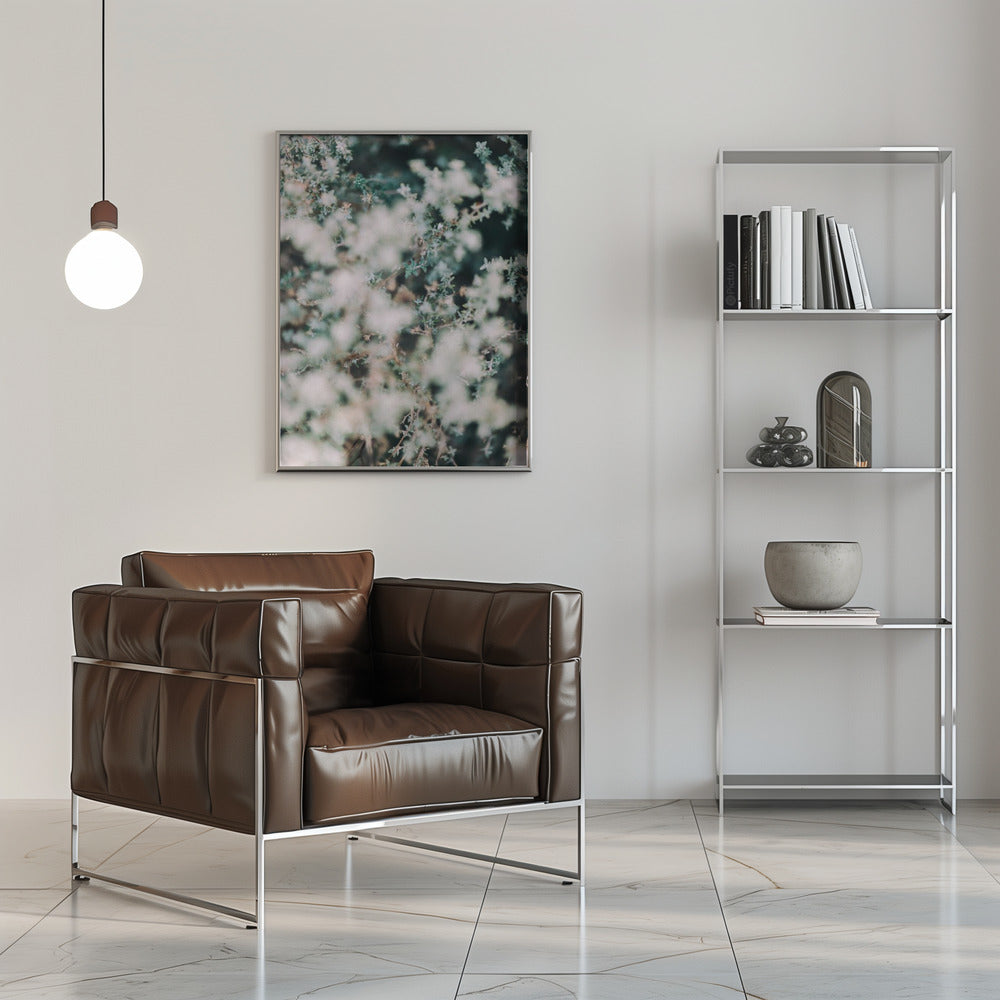 Plakat - White Flowers 13