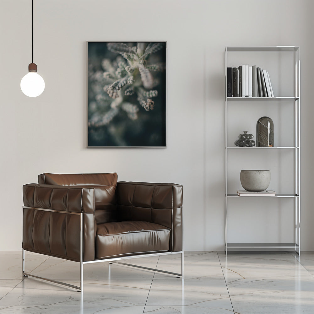 Plakat - White Flowers 14 - Admen.dk