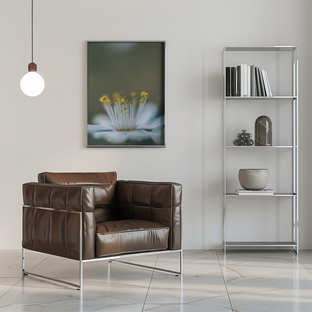 Plakat - Summer Flowers 12 - Admen.dk