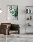 Plakat - Plants 5