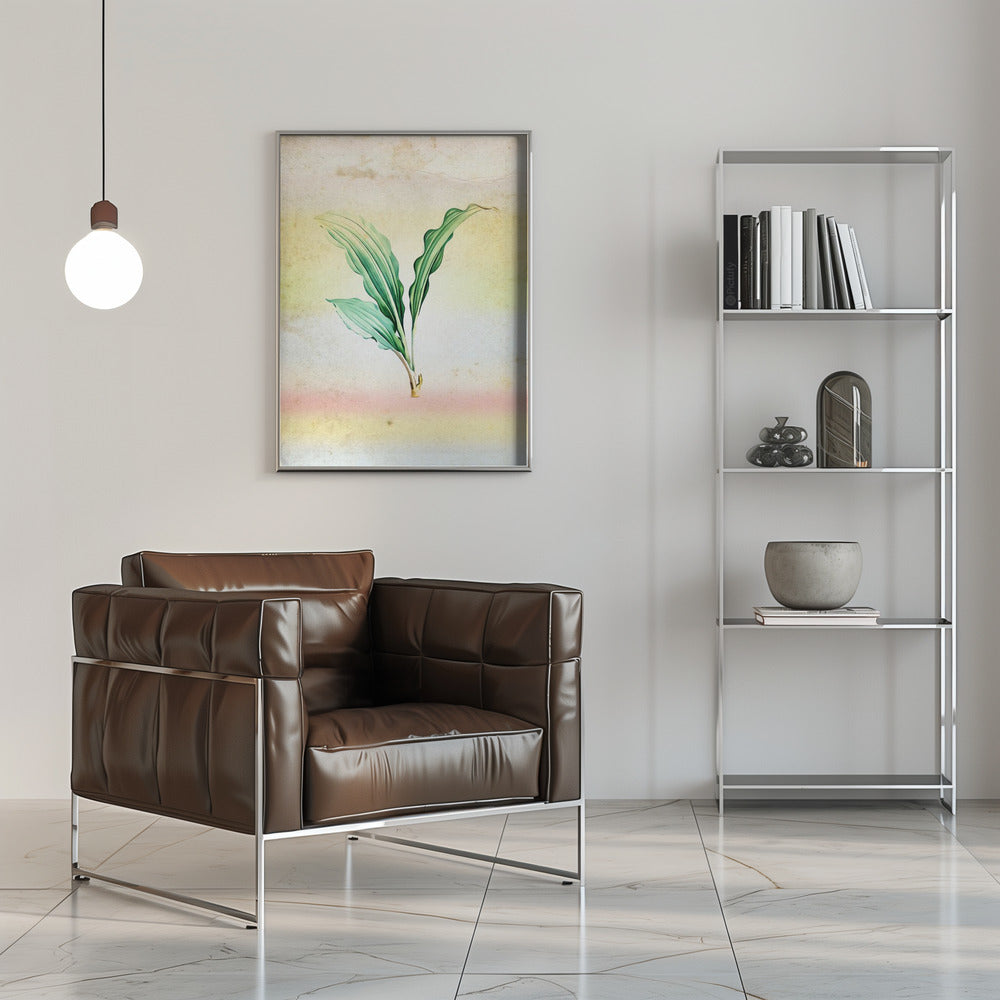 Plakat - Plants 31