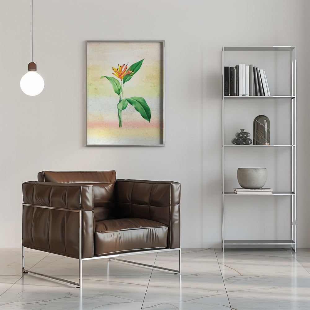 Plakat - Plants 33
