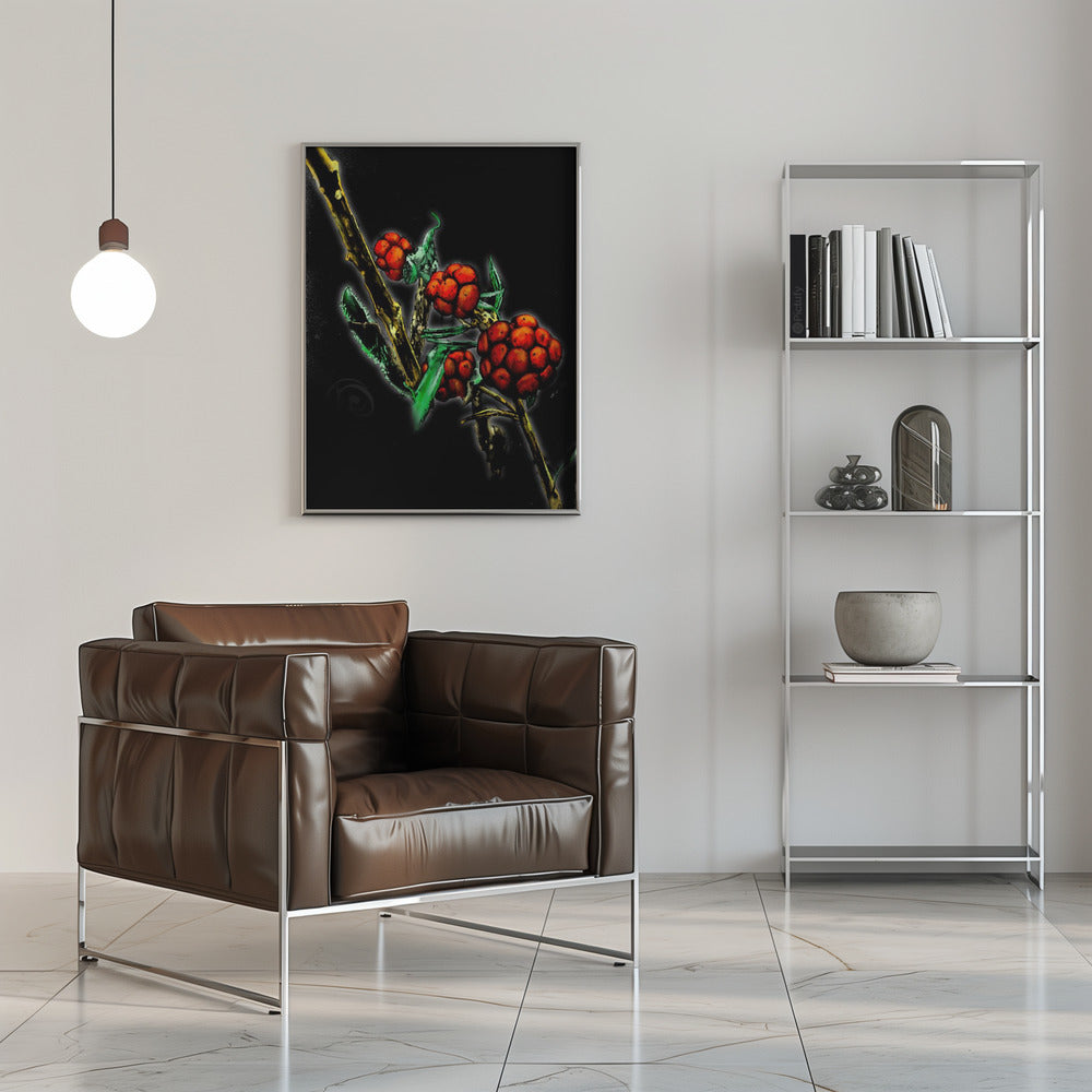 Poster - Red Berries on black