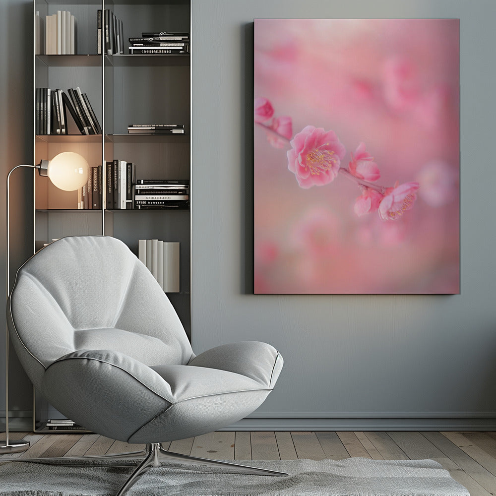Canvas - pink colorful