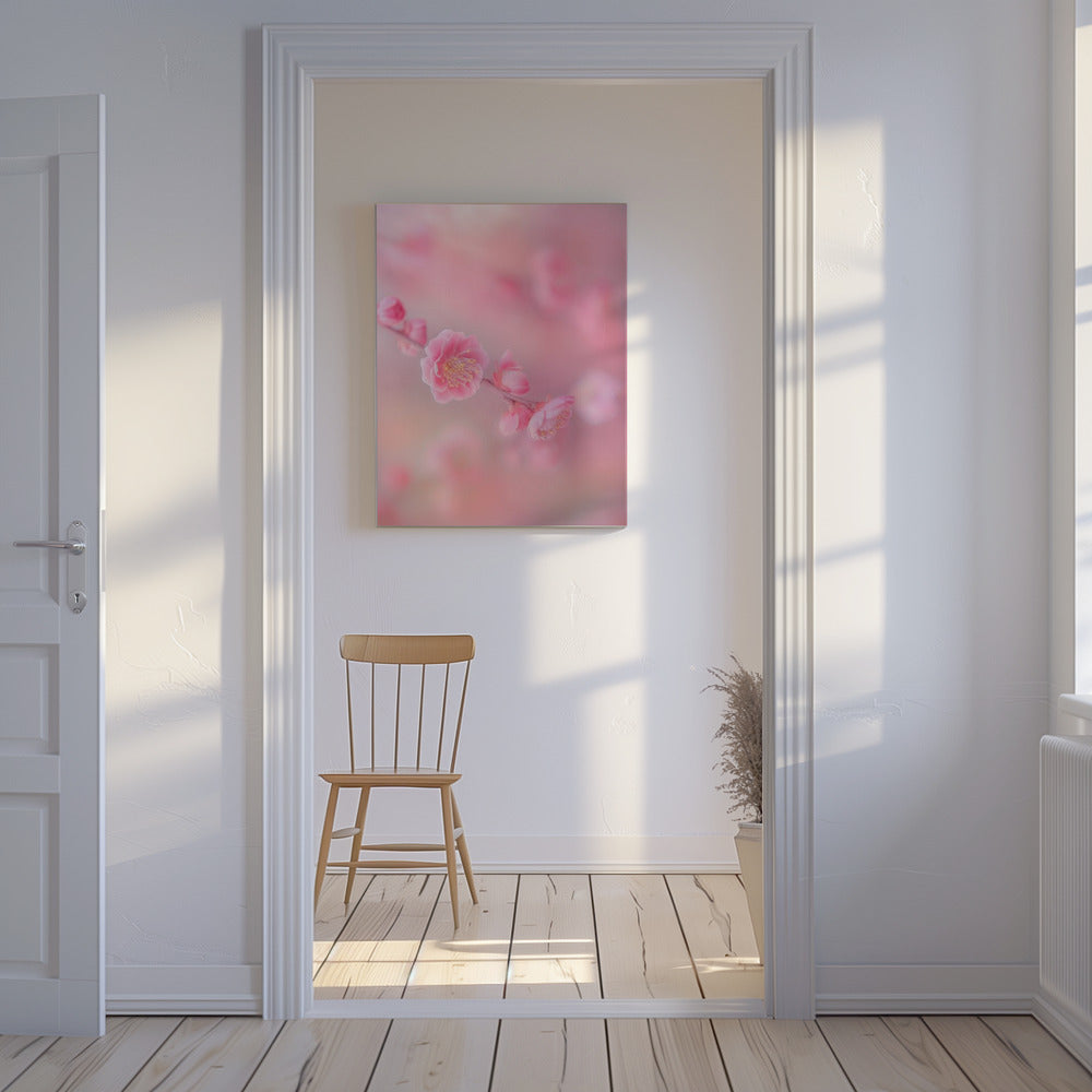 Canvas - pink colorful