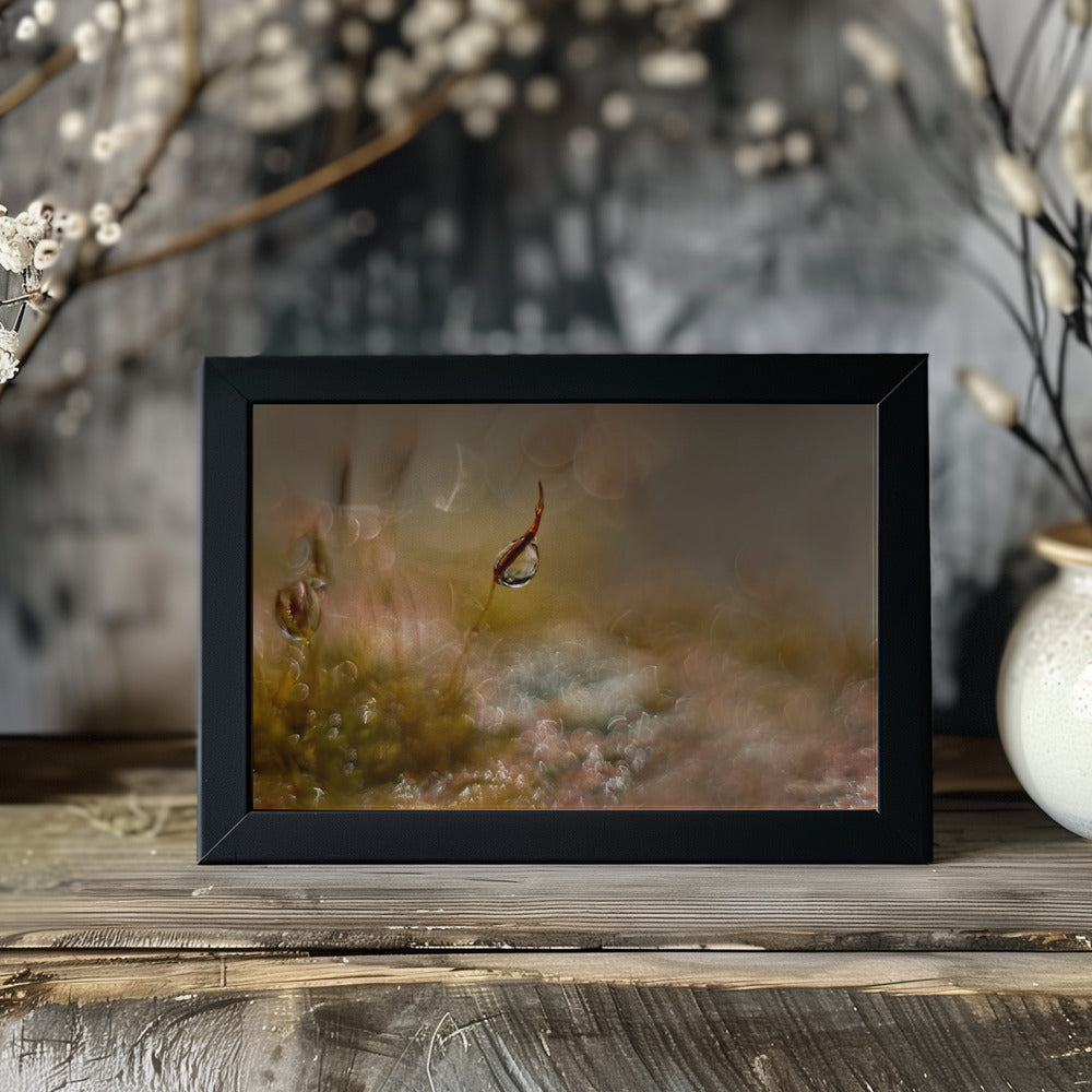 Plakat - Moss world