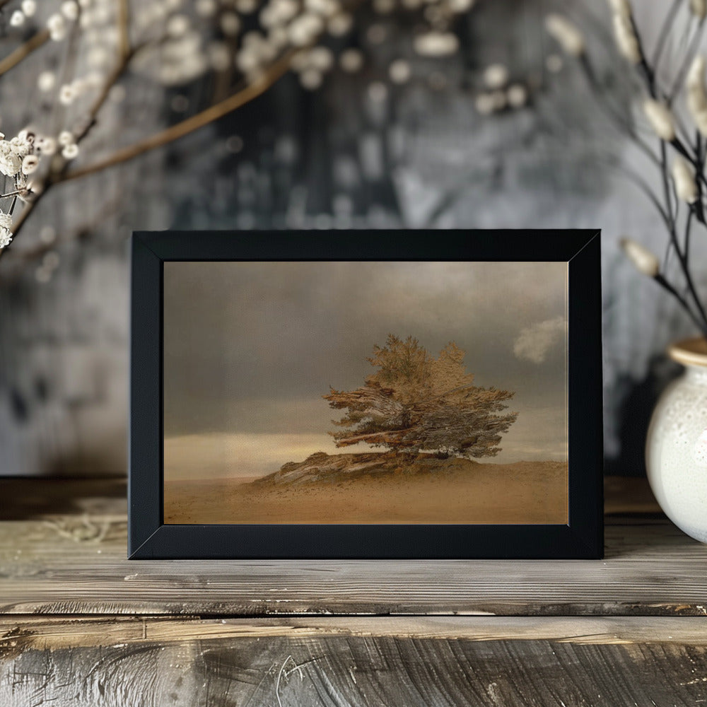 Plakat - Pine and dunes