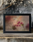 Plakat - Soft and light