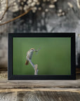 Plakat - Shrike feast