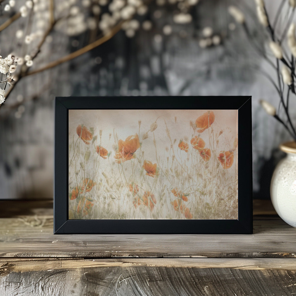 Plakat - Poppies in the field