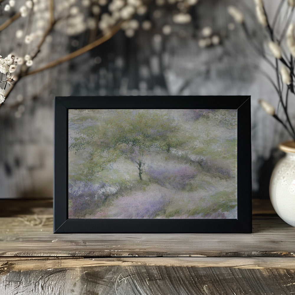 Plakat - Flowering heather
