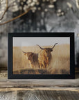 Plakat - Young and old Highlander