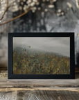 Plakat - In the field