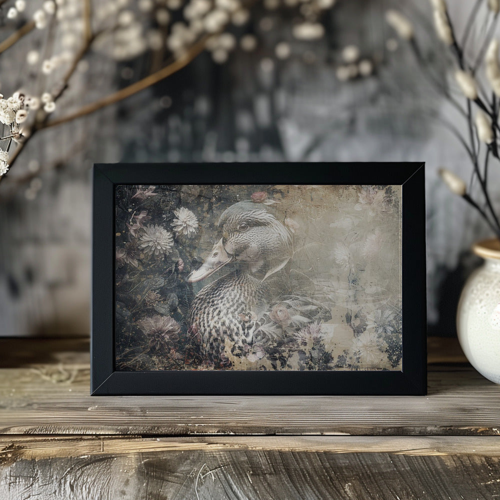 Plakat - Duck Animal Vintage Art Illustration Wallart 05