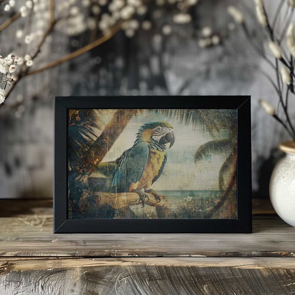 Plakat - Parrot Animal Vintage Art Illustration Wallart 03