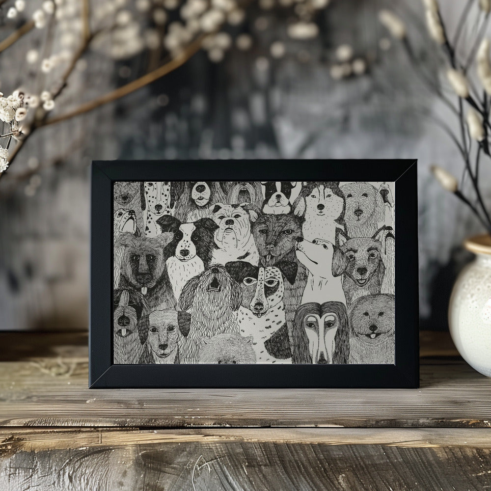 Plakat - Dogs