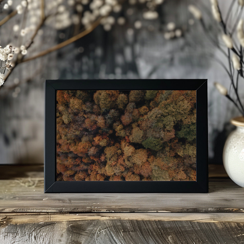 Plakat - Autumn Forest 07