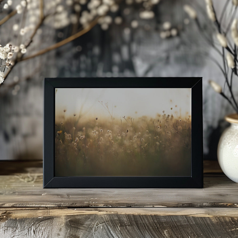 Plakat - Morning Grass Fileld 02
