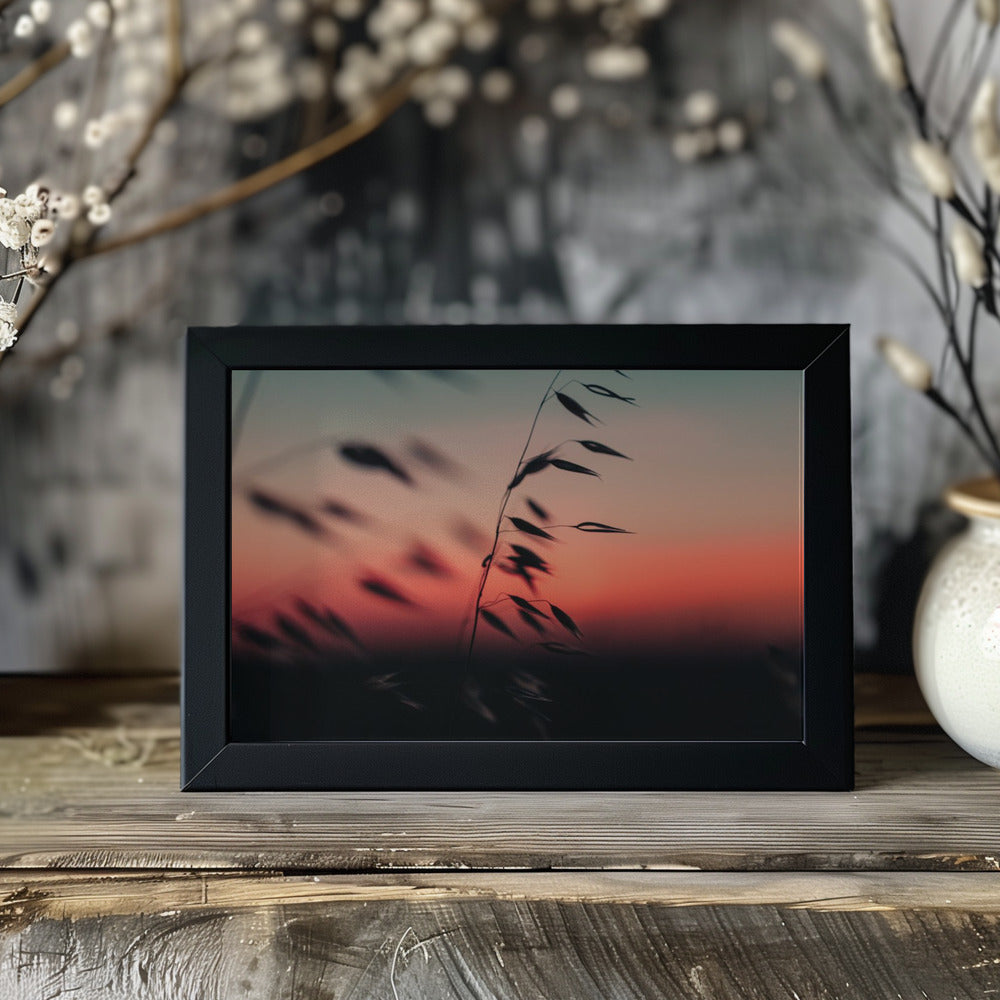 Plakat - Sunset Grass Fileld 02