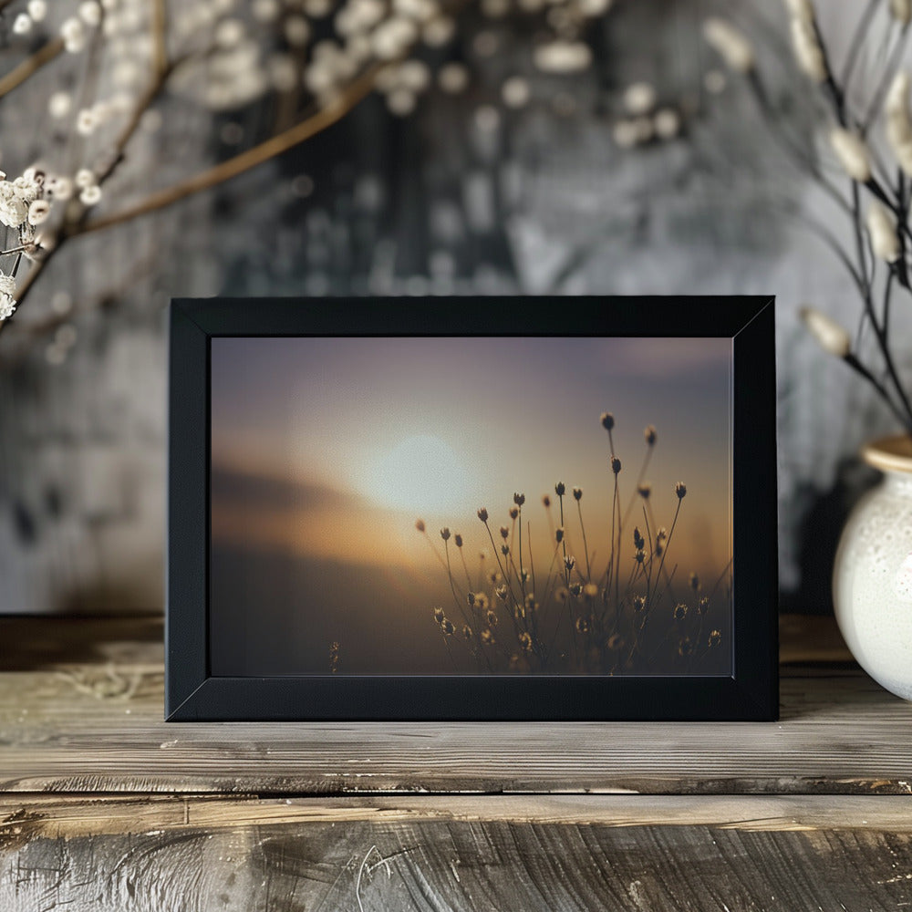 Plakat - Morning Grass Filelds 15