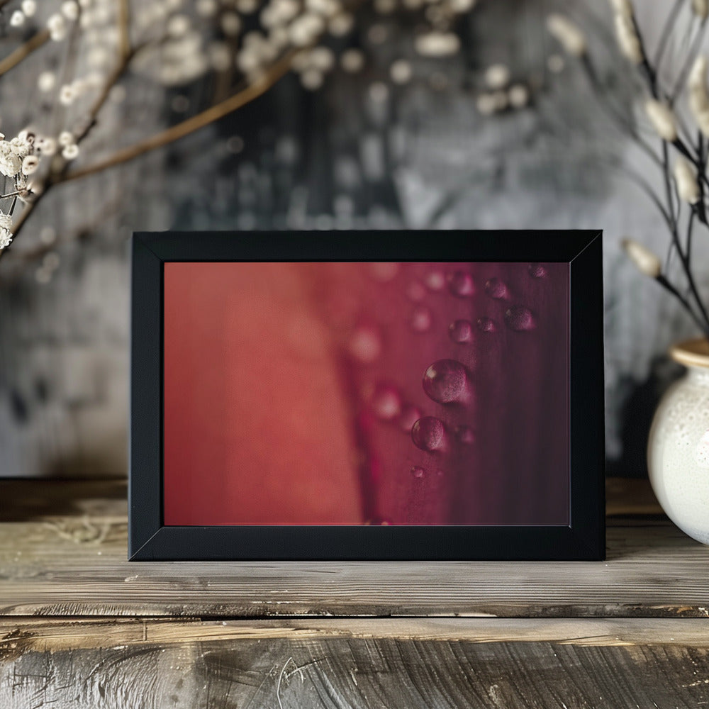 Plakat - Pink Flowers 30 - Admen.dk