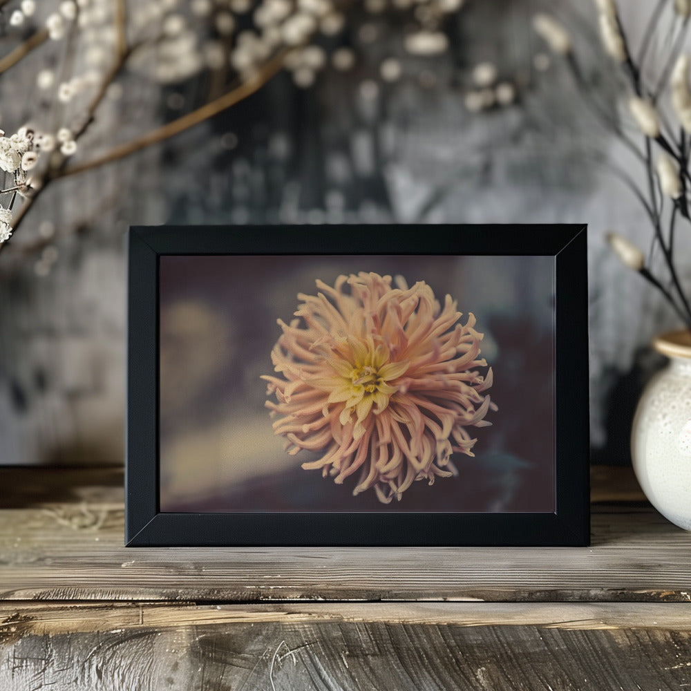 Plakat - Summer Flowers 79