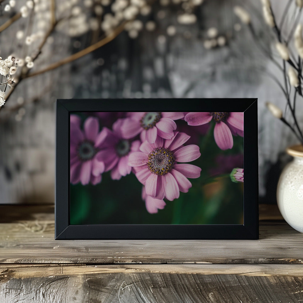 Plakat - Summer Flowers 99