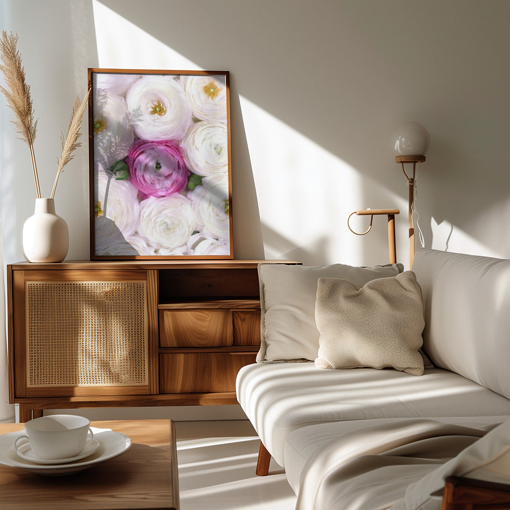 Plakat - Singular ranunculus in hot pink