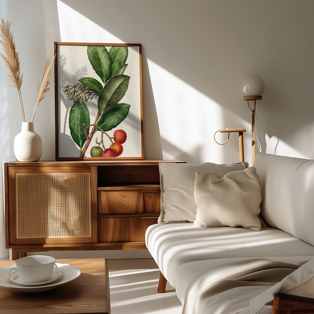 Poster - Botany Arbutus Unedo