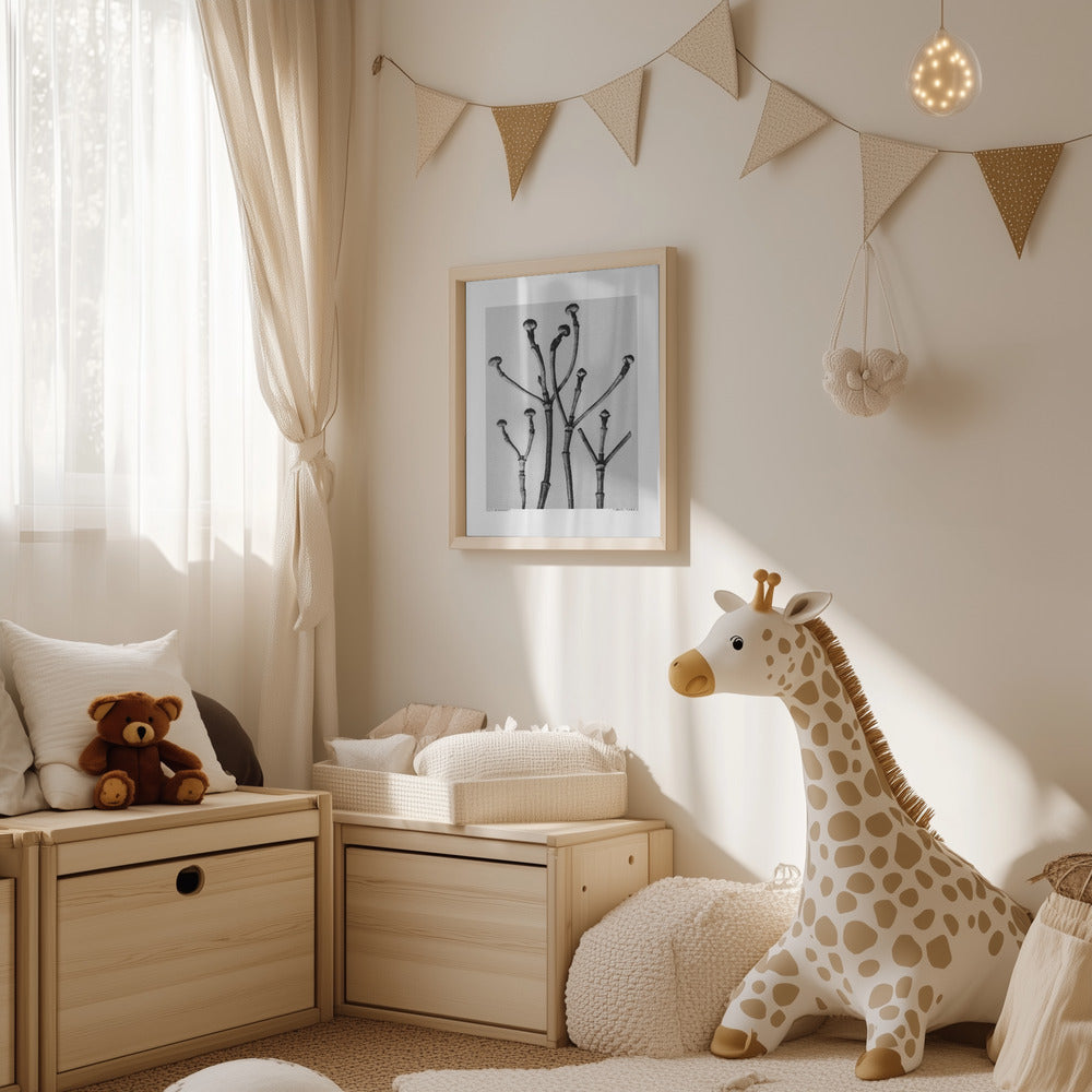 Plakat - Cornus Florida - Admen.dk