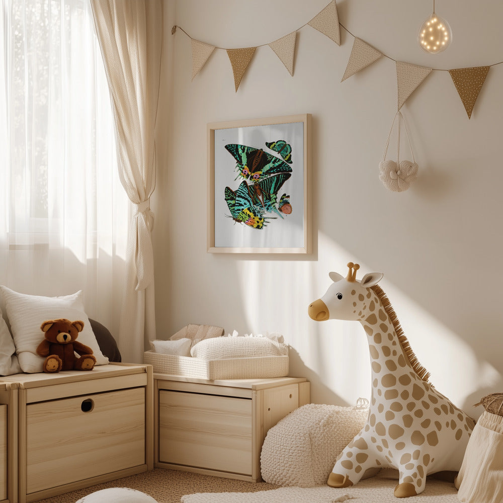 Plakat - Butterflies 3 - Admen.dk