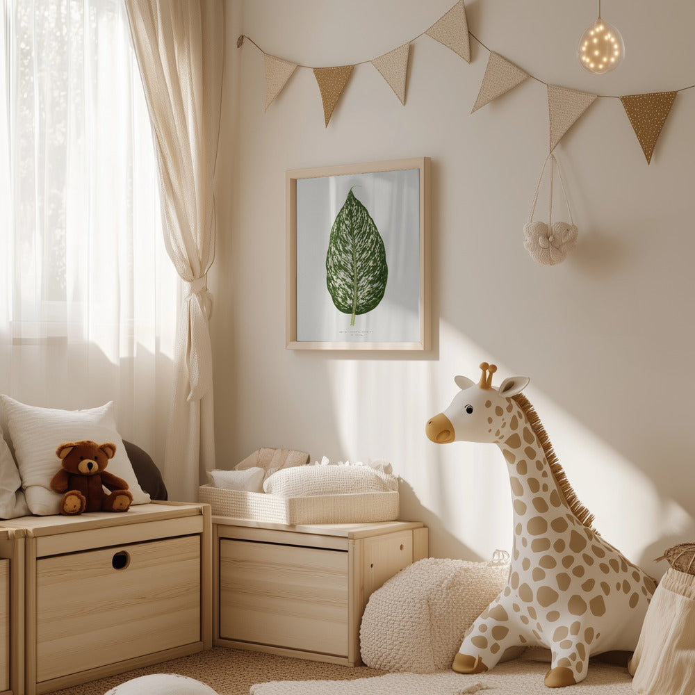 Plakat - Dieffenbachia Seguina Leaf Illustration - Admen.dk