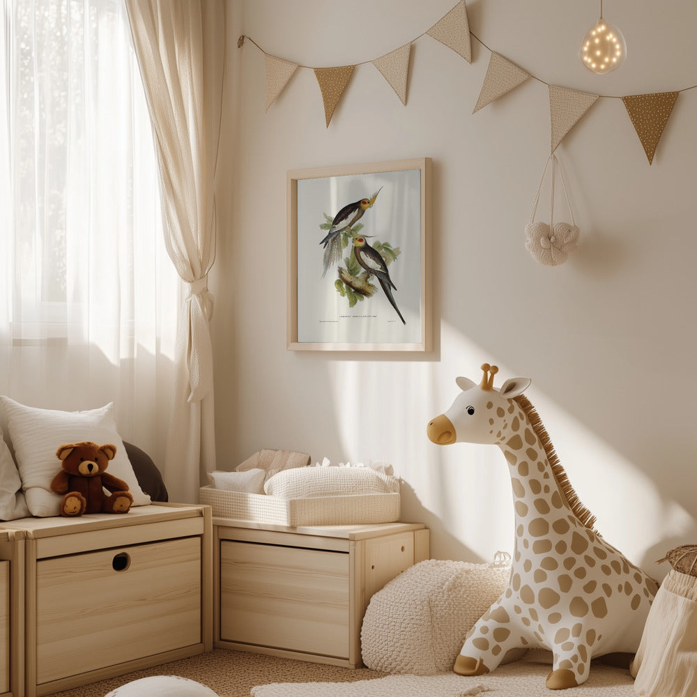Plakat - Cockatoo Parakeet - Admen.dk
