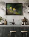 Plakat - Indian white-eye