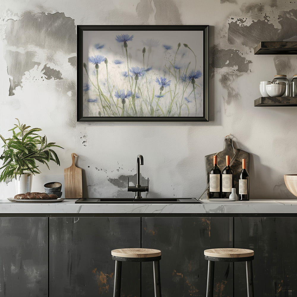 Plakat - Cornflowers