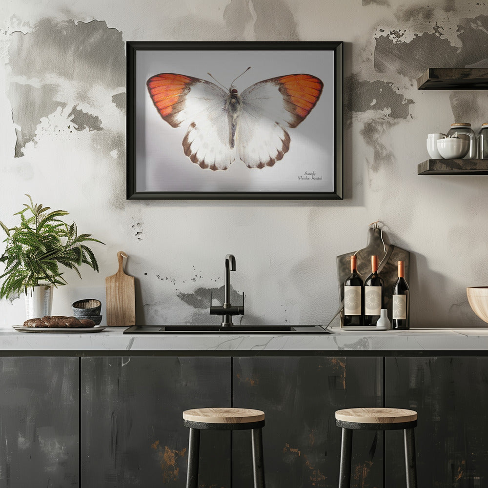 Plakat - Butterfly - 3