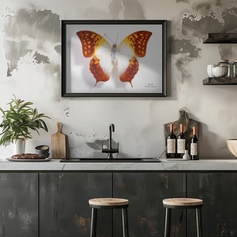 Poster - Butterfly - 4