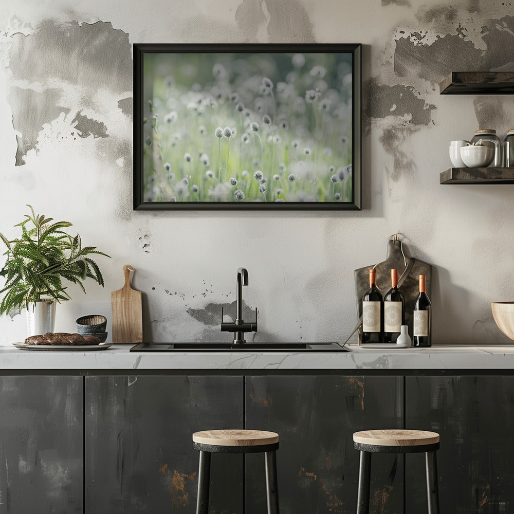 Plakat - White Flowers 04