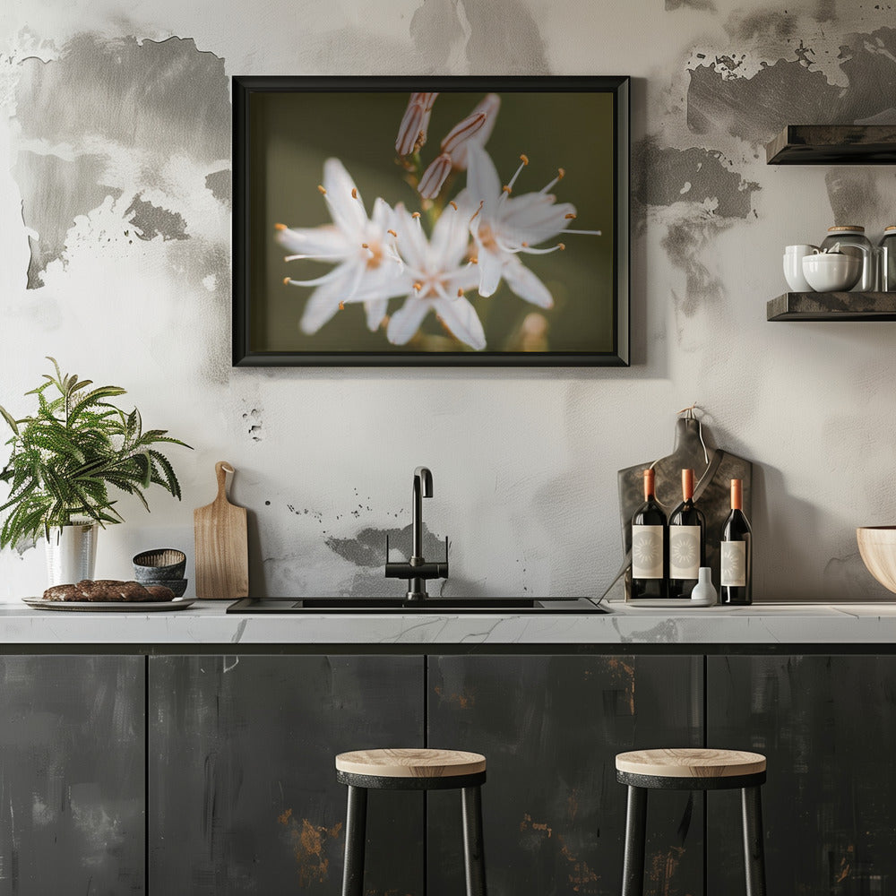 Plakat - White Flowers 10