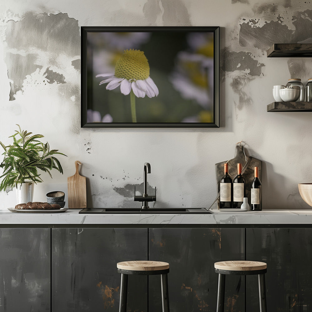 Plakat - Summer Flowers 7
