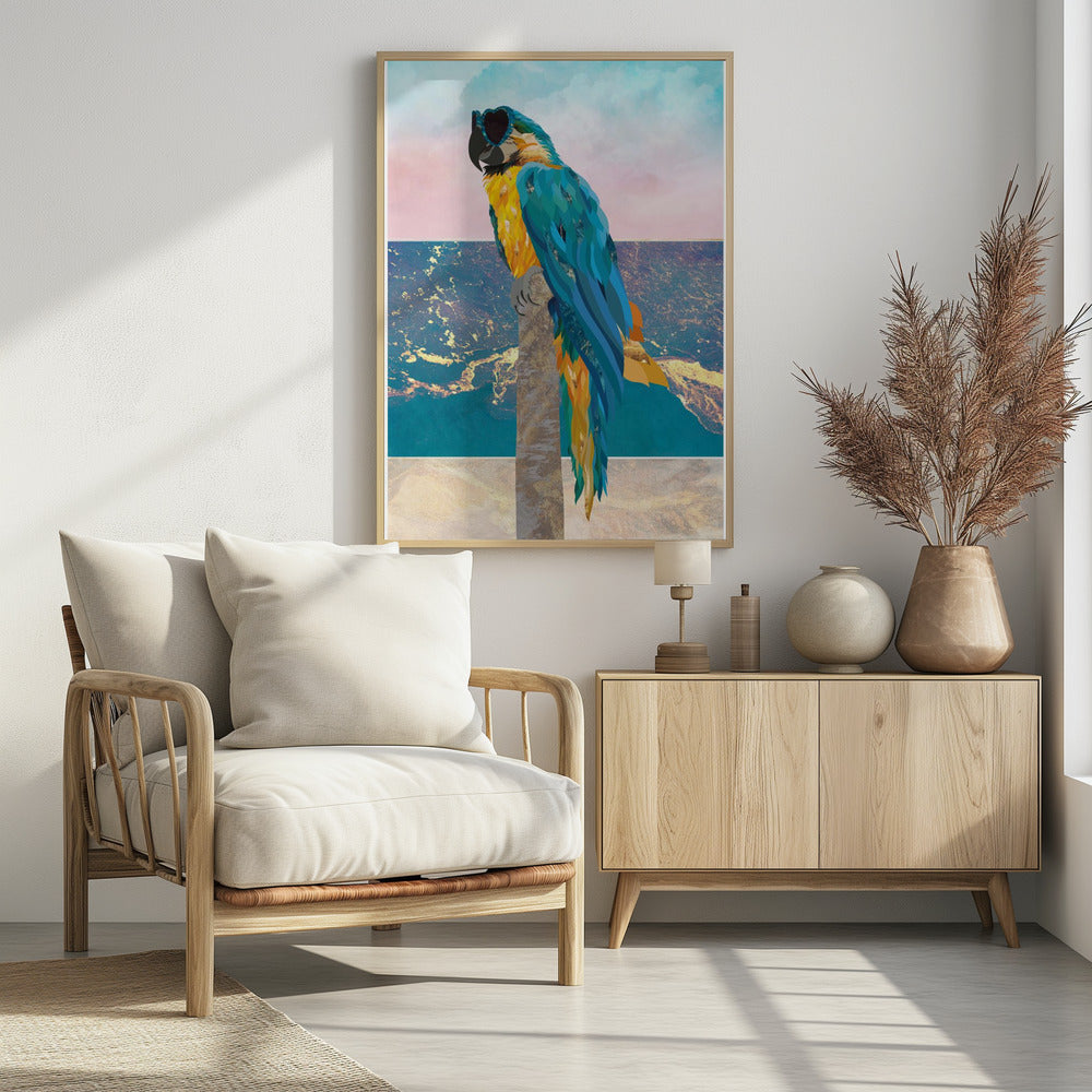 Plakat - Macaw On Holiday 01