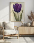 Poster - Purple Tulip 7