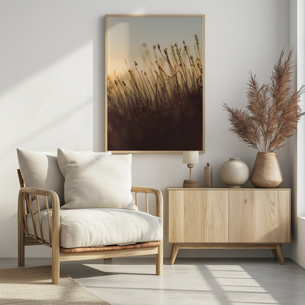 Plakat - Morning Grass Filelds 08